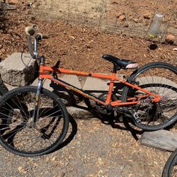 Redline Pl20 Bmx Bike