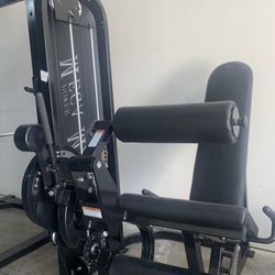 Leg Extension / Leg Curl 2 In 1 