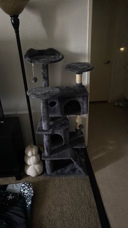 Little play area for cats (best offer only pick up)