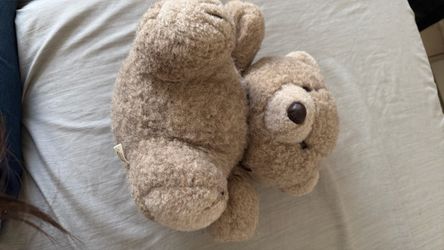 Teddy bear