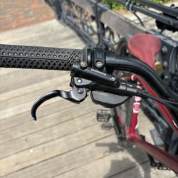 Gear Converted Wheelie Bike 29