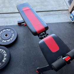 BowFlex Adjustable Weight Bench