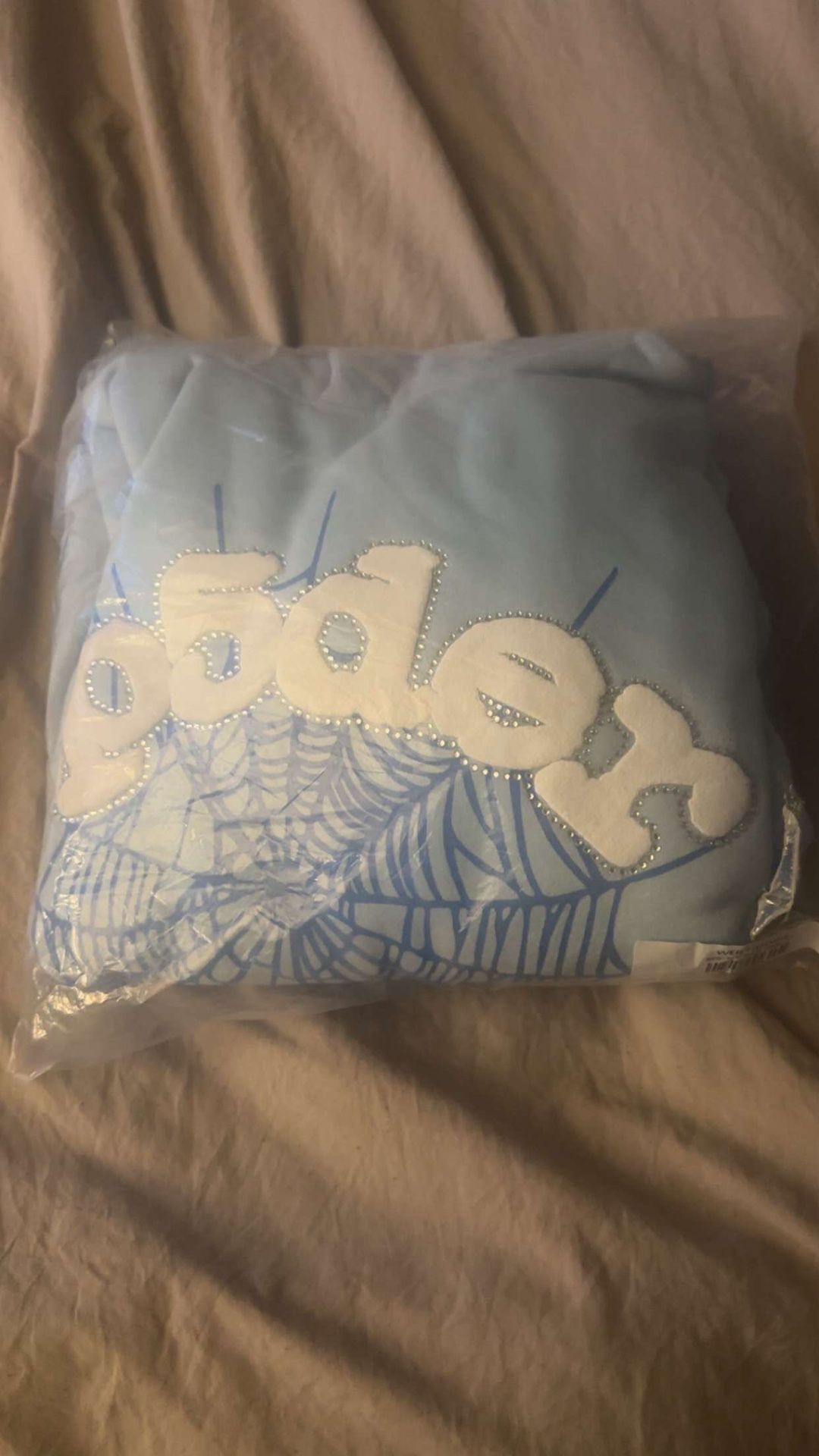 Adult Medium Sky Blue Hoodie