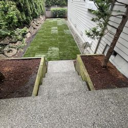 Landscaping Sod