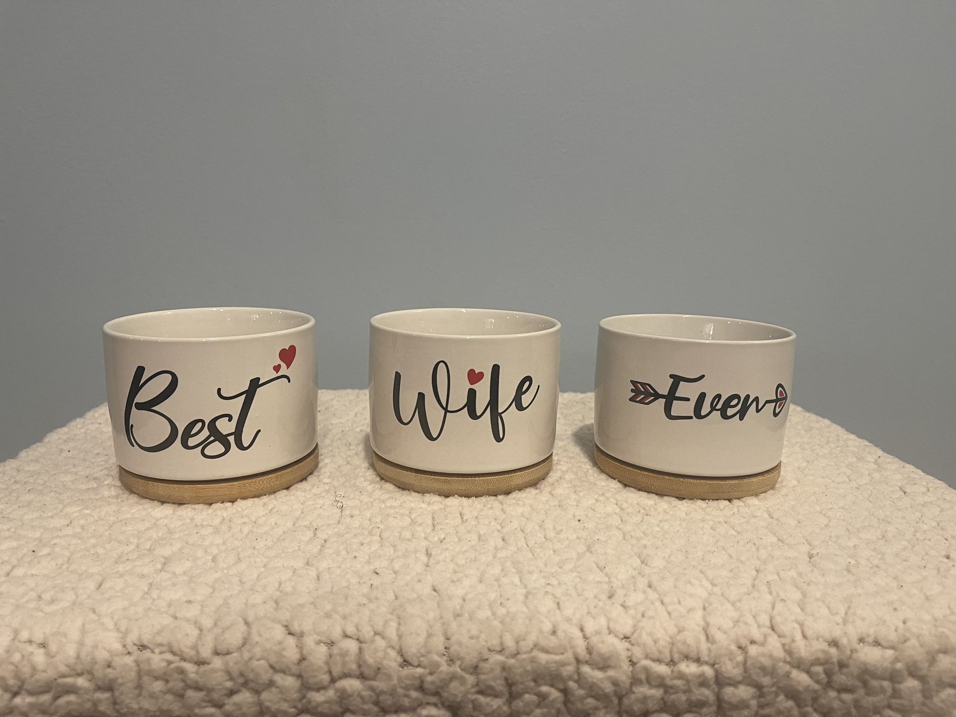 Best Wife Ever Succulent Pots