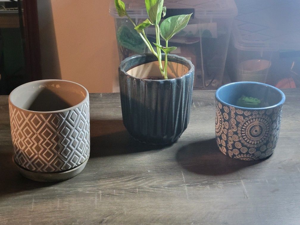 Ceramic plant pots