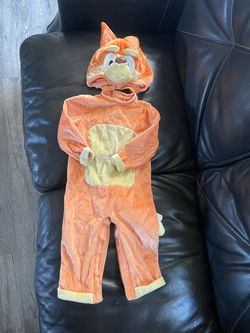 Bingo costume