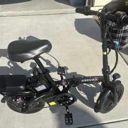 Asgurd Super E-Bike (Folding)