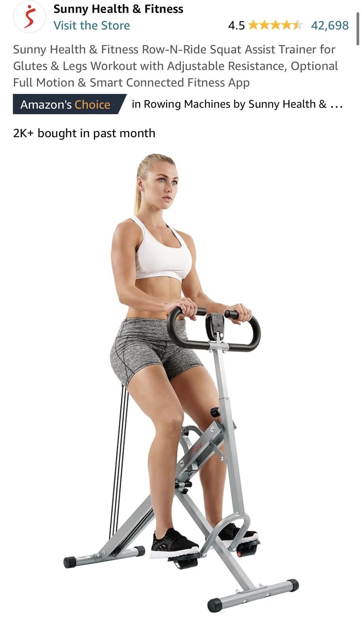 Row-N-Ride Squat Assist Trainer
