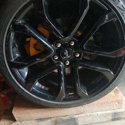 Parts For Mustang 2012