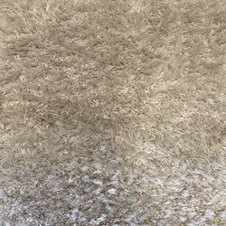 Carpet rug
