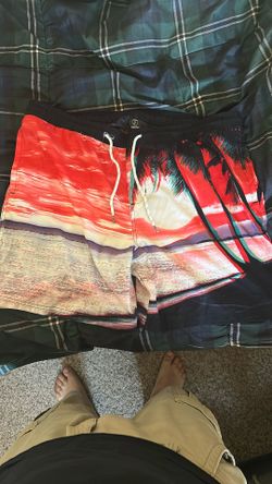 Swim Trunks 