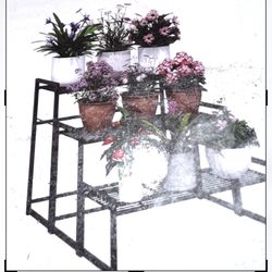 New Plant Stend