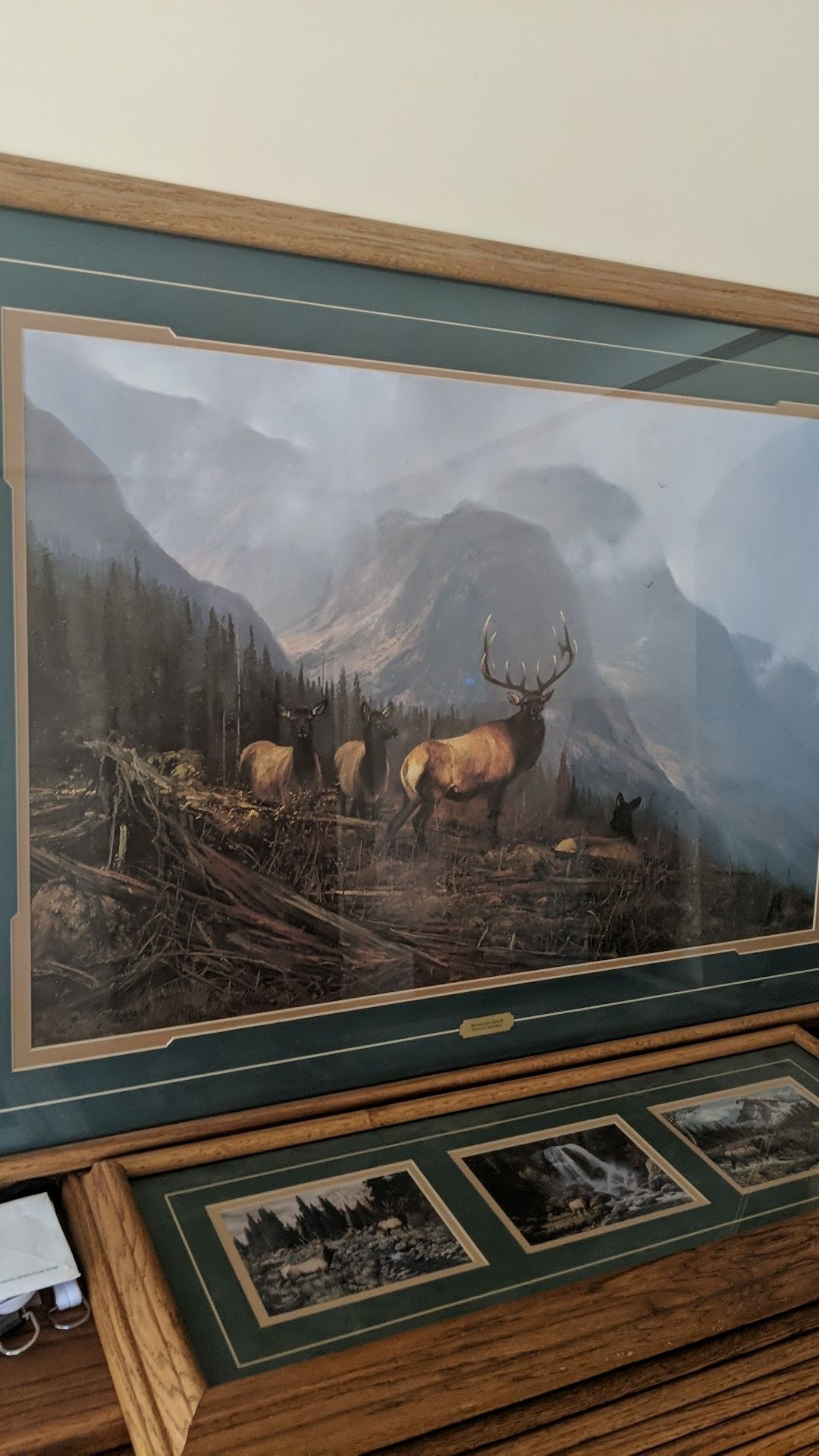 Michael Coleman bookcliffs elk print