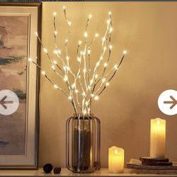 EAMBRITE Pre Lit White Birch Twig Branch Lights 30IN 60LT
