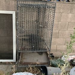 Bird Caged 