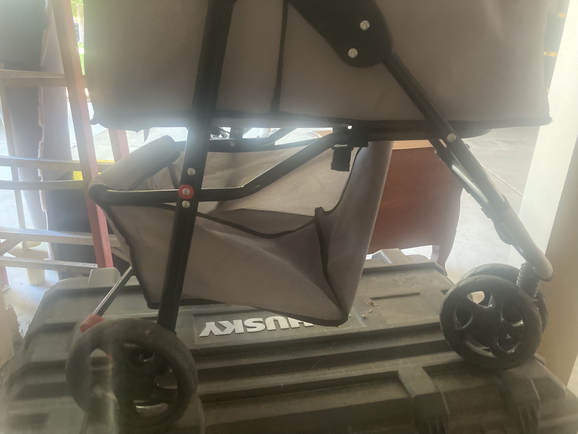 Stroller for a small dog