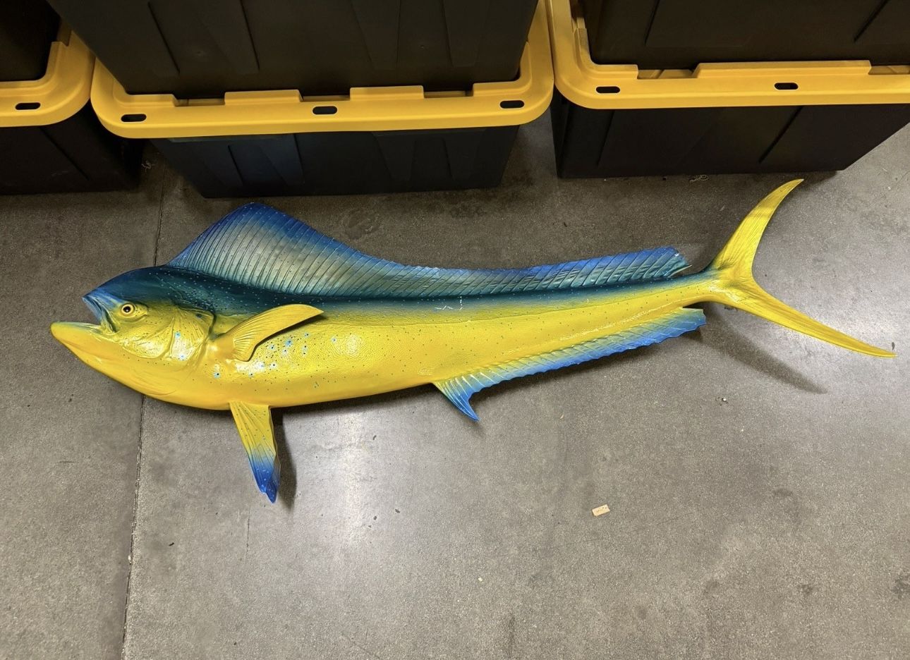 60" Bull Dolphin Left Half Mount (Mahi) Replica