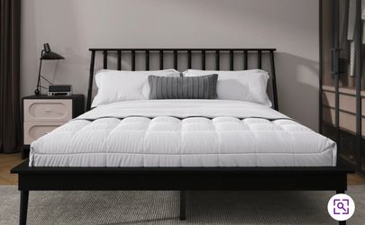 Bed Frame - Full size NEW