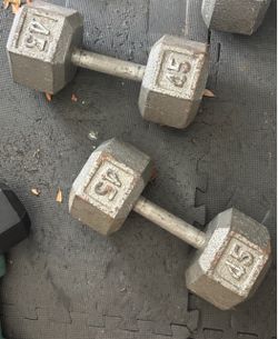 45 Pound Dumbbells