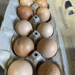 Farm Fresh Eggs