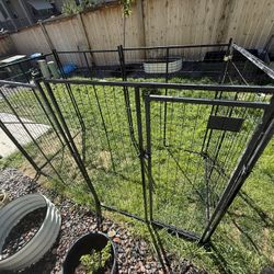 Rugged Ranch Kennel
