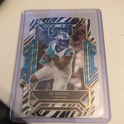Panini Select Dj Moore Zebra