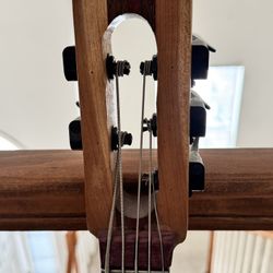 Custom Designed Wish Bass