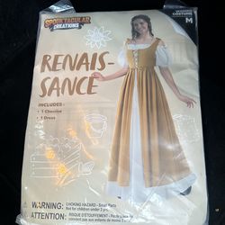 Renaissance Fair Dress