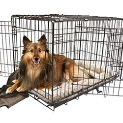 Precision® Pet Products 2-Door Great Crate, 30" x 19" x 22" - Black