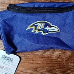 Baltimore Ravens Carry Zipper Bag Pack Purple Brand New Case