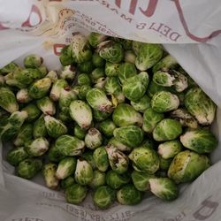 Free Brussel Sprouts