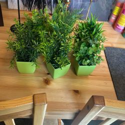 6 Faux Plants