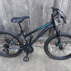 Schwinn 24-in. Sidewinder Unisex Mountain Bike, Black & Teal, 21 Speeds