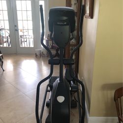 Elliptical Sole E25