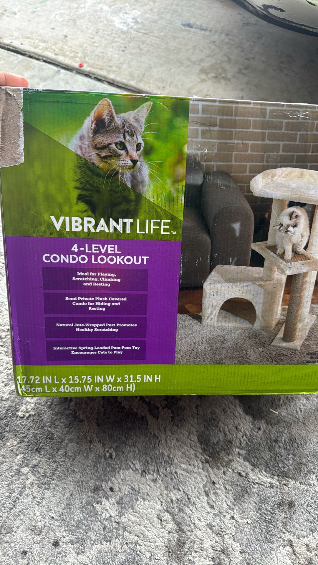 Vibrant Life Cat 4 Level Condo Lookout