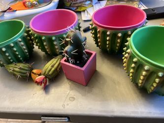 Basis De Nopal Se Pone  Para Fiestas  En Decoracion 