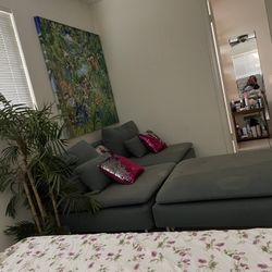 Set Of 3 , Sofa set , Plant And Painting 