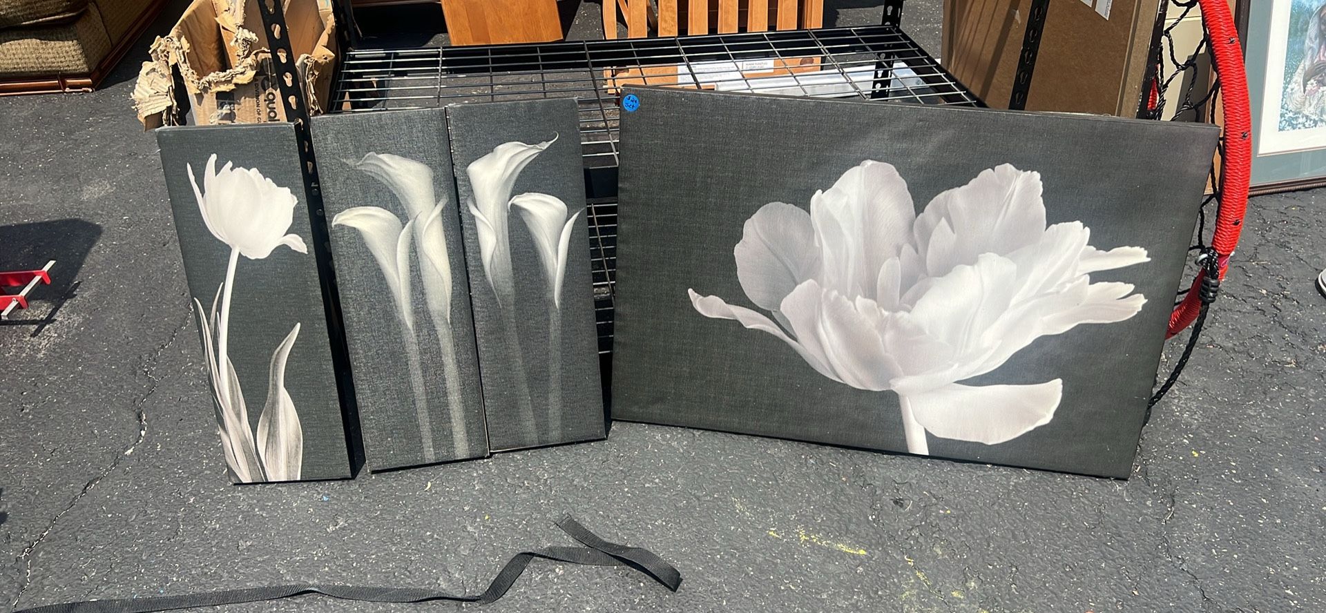 Floral Canvas Wall Art Set in Black and White. Has some spots on canvas see pics! Tape came off/peeling on a couple of frames