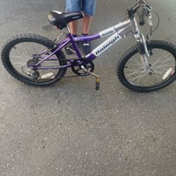 ROWDY  RALEIGH MOUNTIN BIKE 