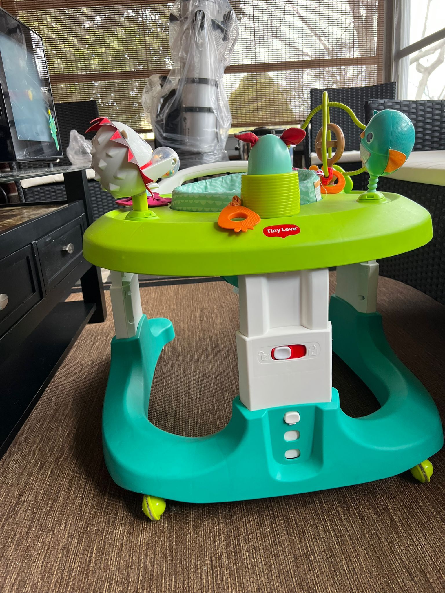 Baby Walker