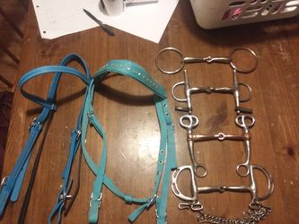 Horse tack