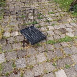 Animal Cage 24x24