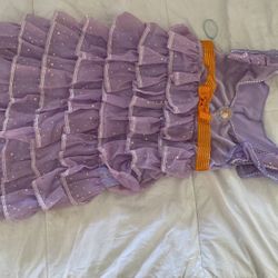 Fancy Nancy Costume 3-4