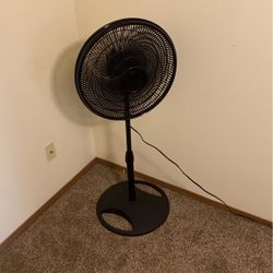 Fan 