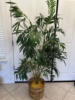 6 Foot Bamboo Palm Silk Tree Artificial Faux with Woven Basket