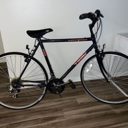 Trek Road Bike