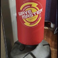 2-Punching Bags $80 Each