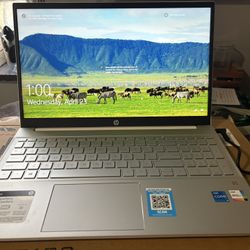 HP Pavilion Laptop 