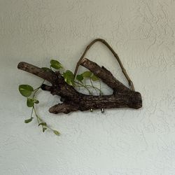 Rustic Plant holder